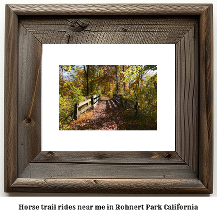 horse trail rides near me in Rohnert Park, California